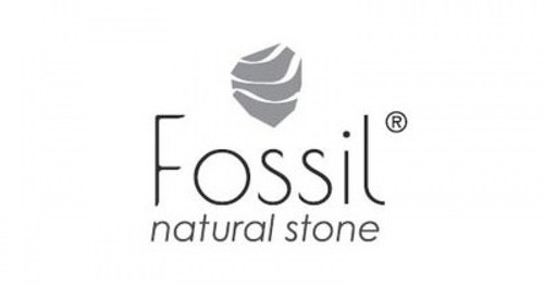 Fossil Natural Stone
